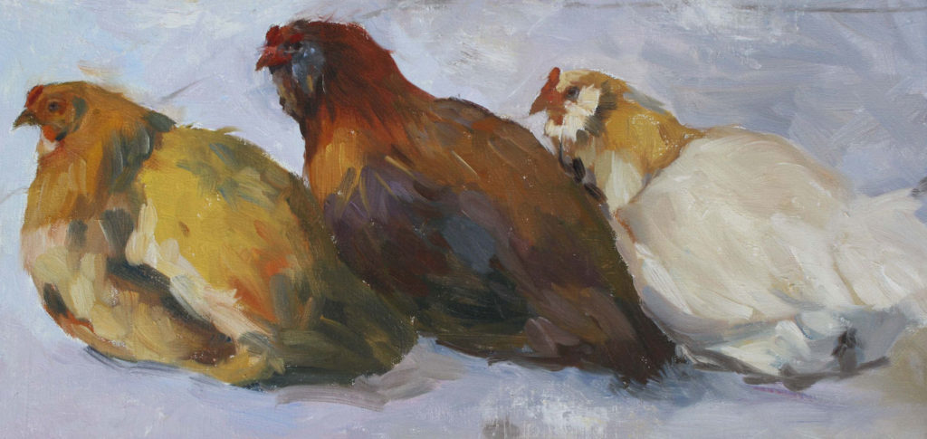 three-chickens_