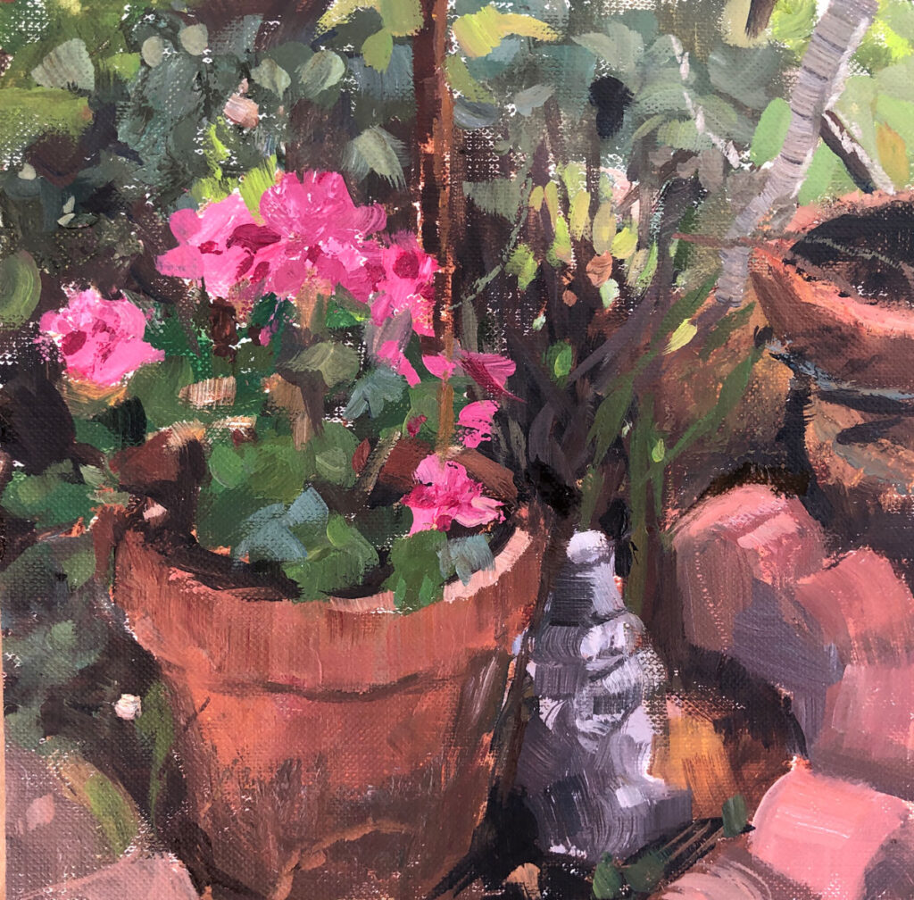 pinkgeraniums_with_gnome